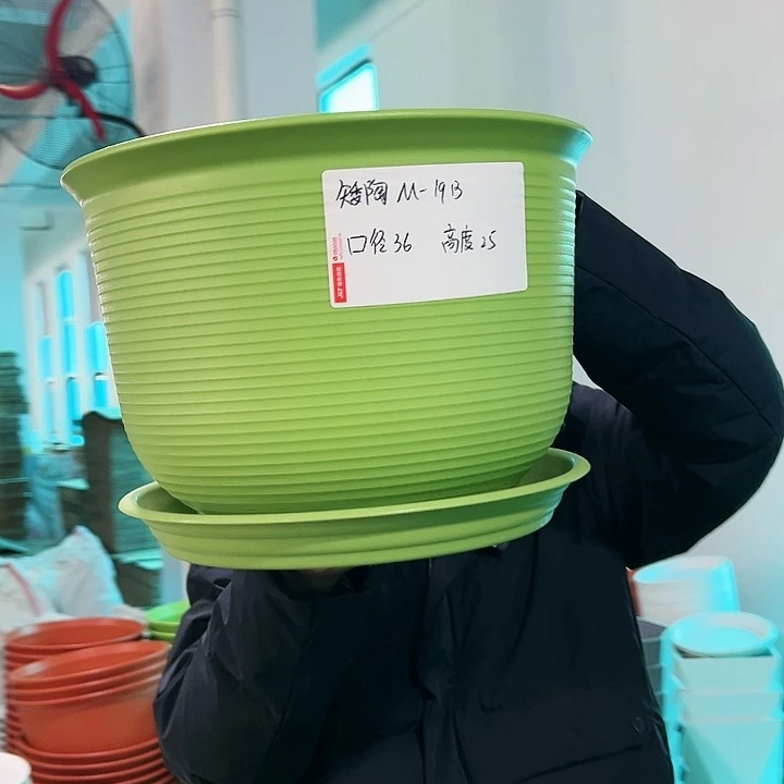 正品矮陶口36高25果绿带托3只