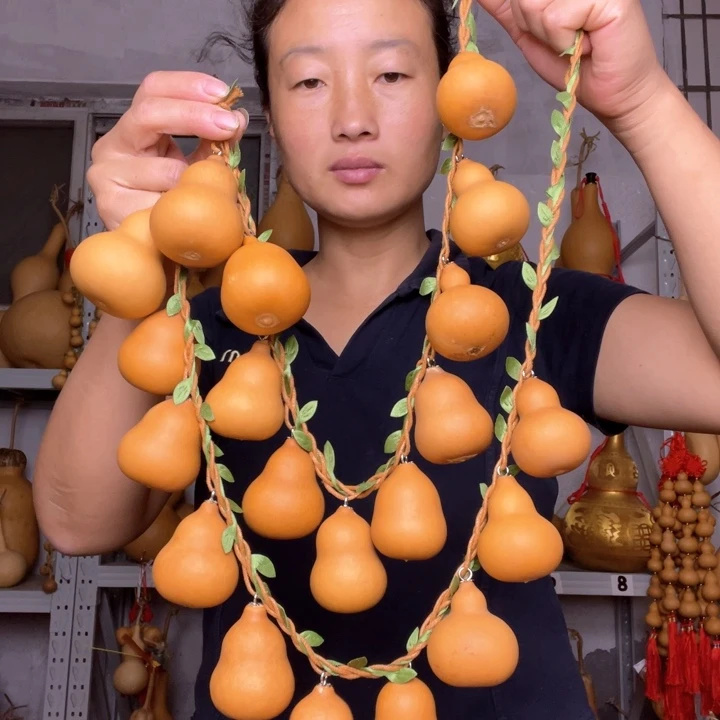 葫芦天然植物葫芦文玩
