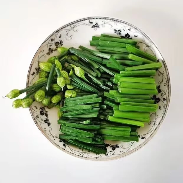 山东新鲜韭菜苔现摘现发韭苔嫩脆冰鲜发货