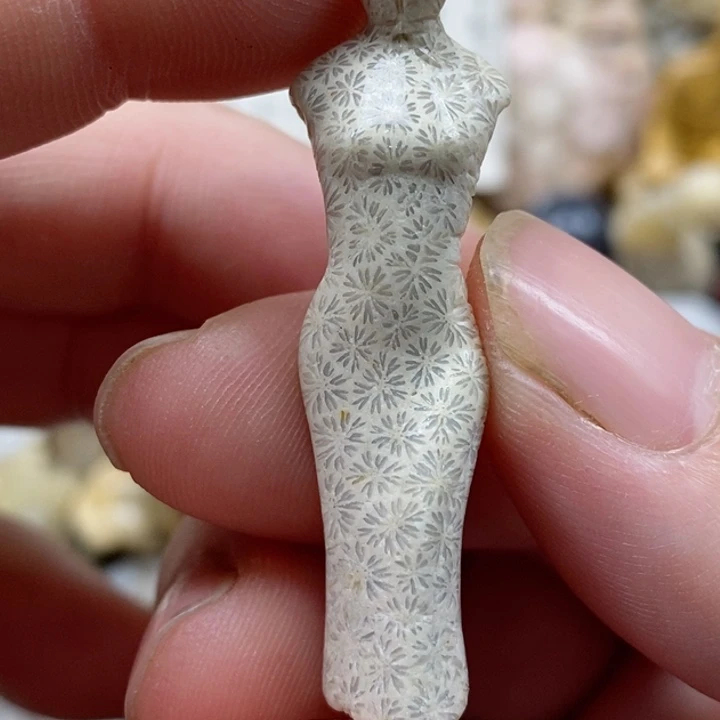 颈饰未镶嵌硅化珊瑚（珊瑚玉）有瑕