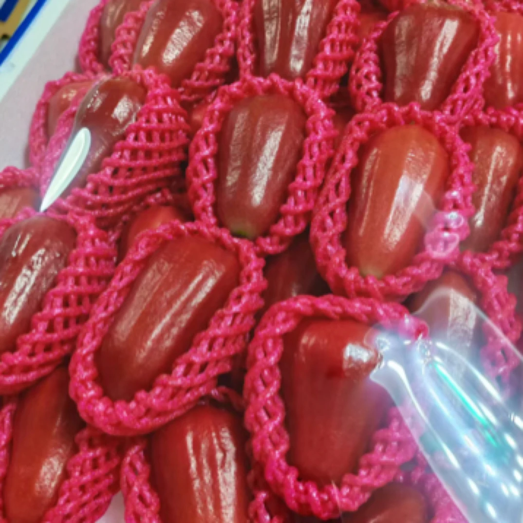 补水小能手莲雾，约250g