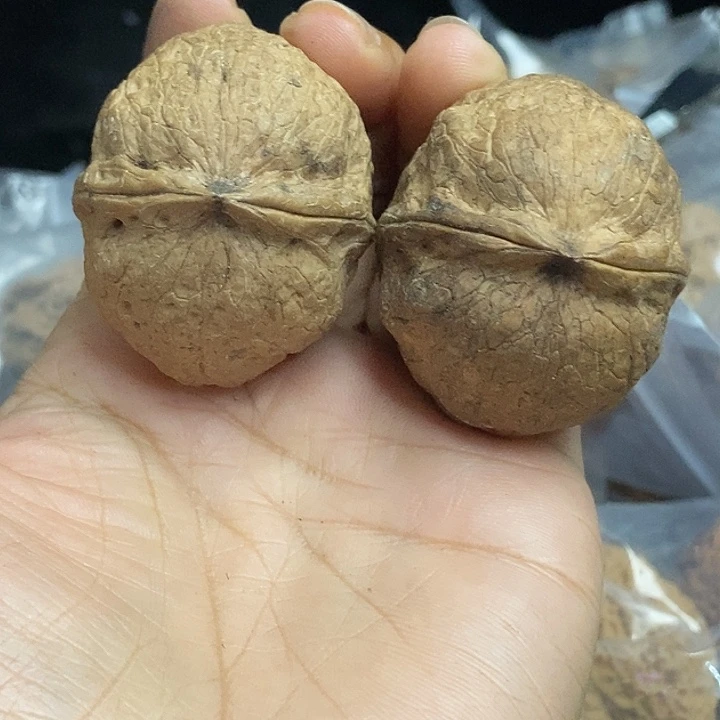 文玩核桃把件云南铁核桃基地62