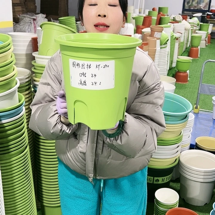 正品圆控口24高24果绿8只无托