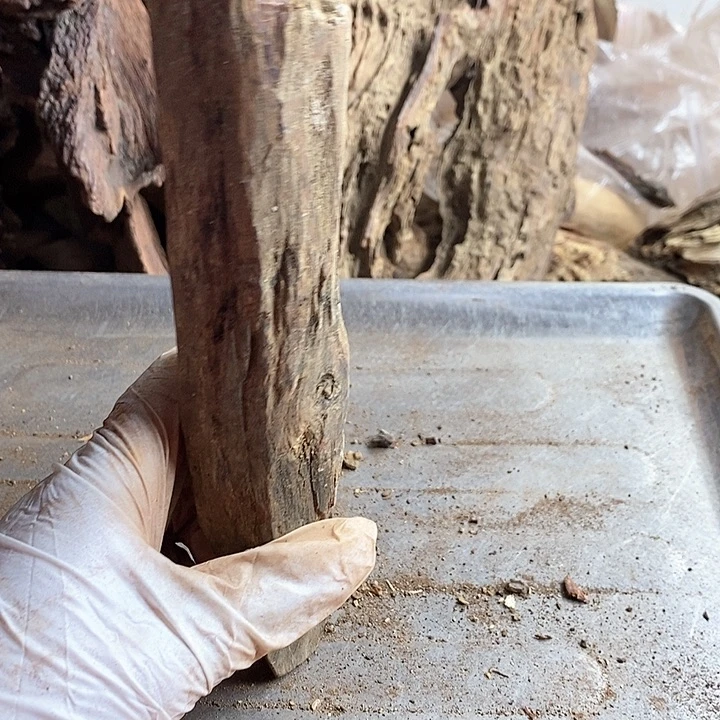 黄花梨/降香黄檀?*海南黄花梨