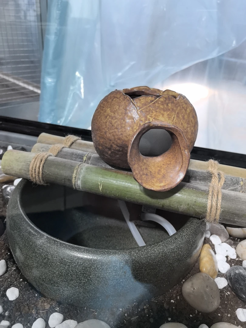 生态鸟笼专用流水器