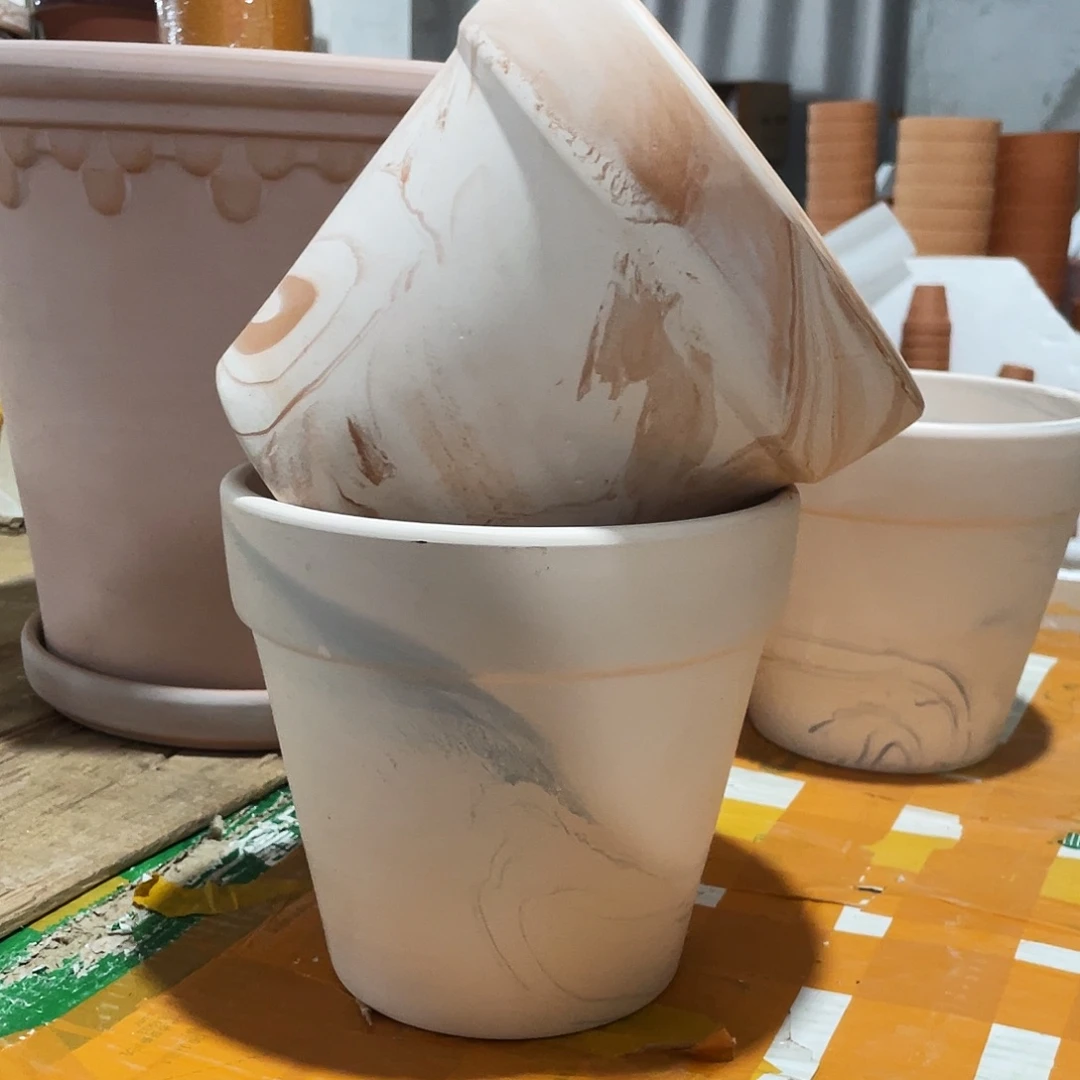 口18×16     图片色样品盆发2，无售后