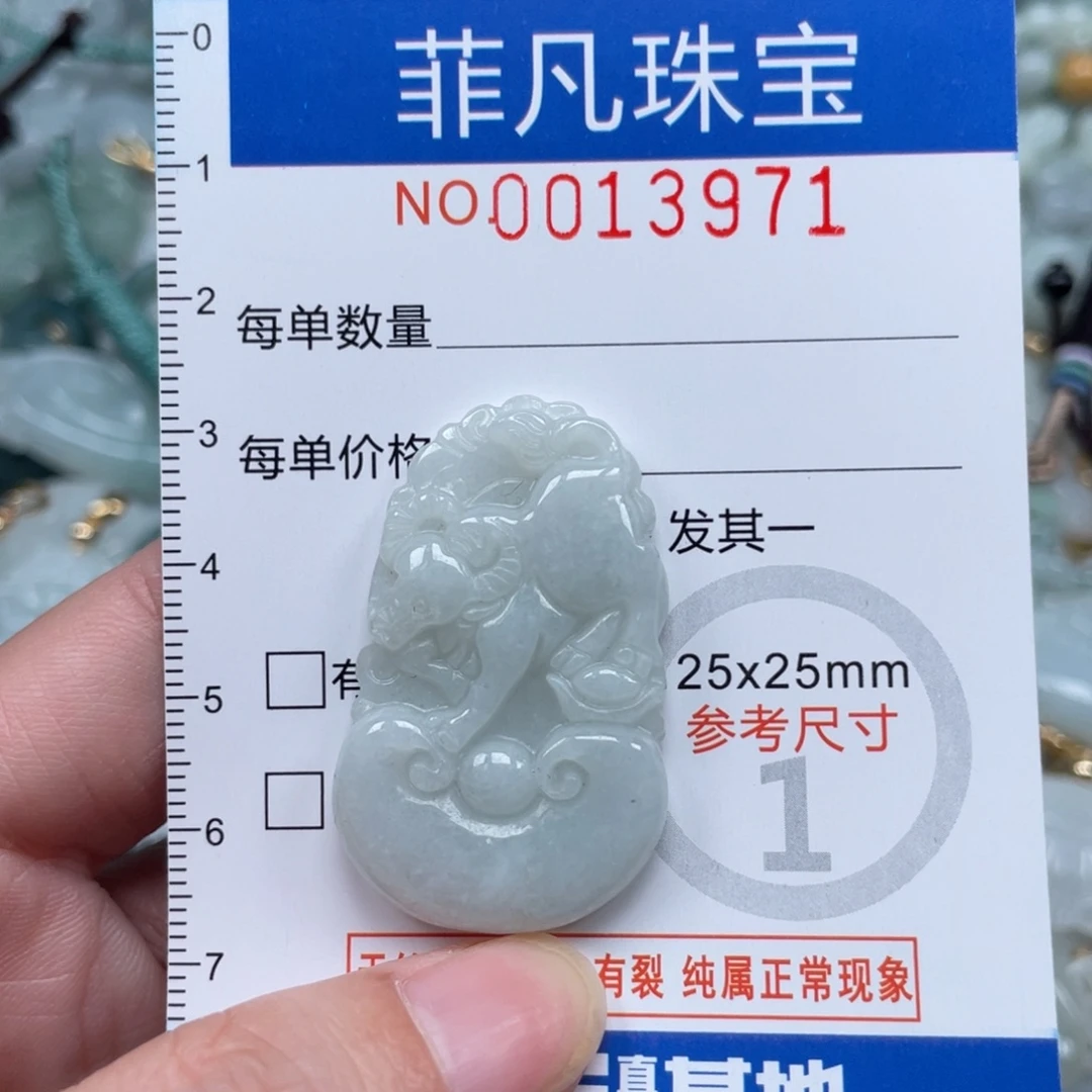 翡翠未镶嵌颈饰13971