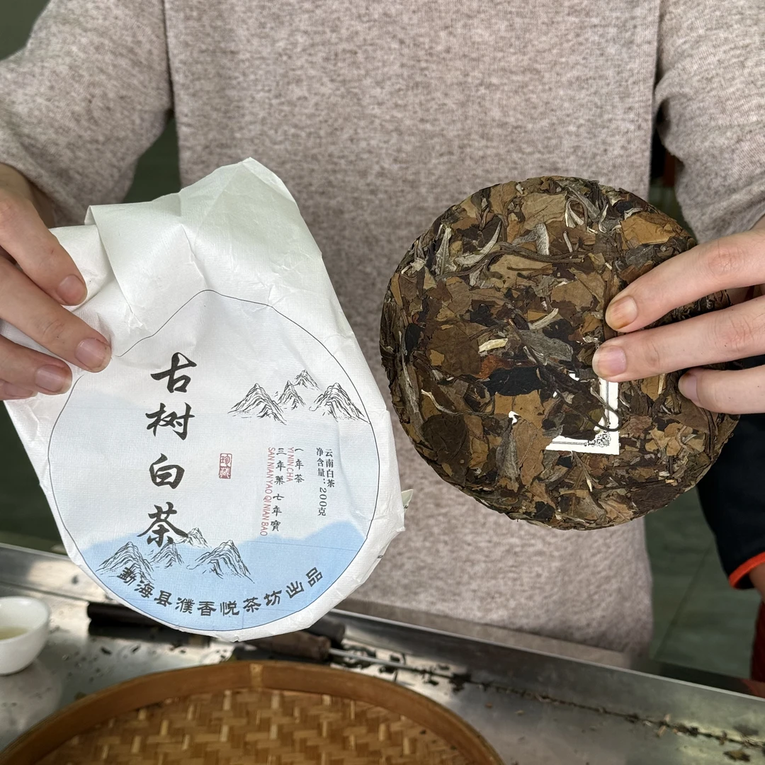 【8.4】勐海茶区 2024布朗山勐冈古树白茶  春 饼茶 【024】