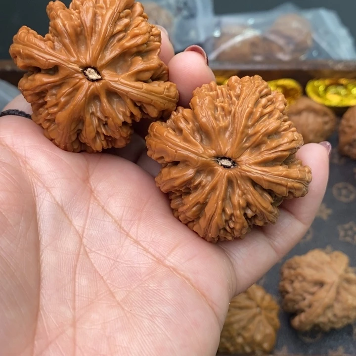 鑫***核桃虎头王48尺核桃