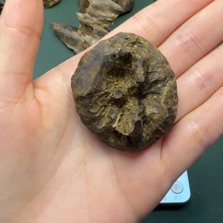 沉香手把件@****@海南天然野包头老料9.9克