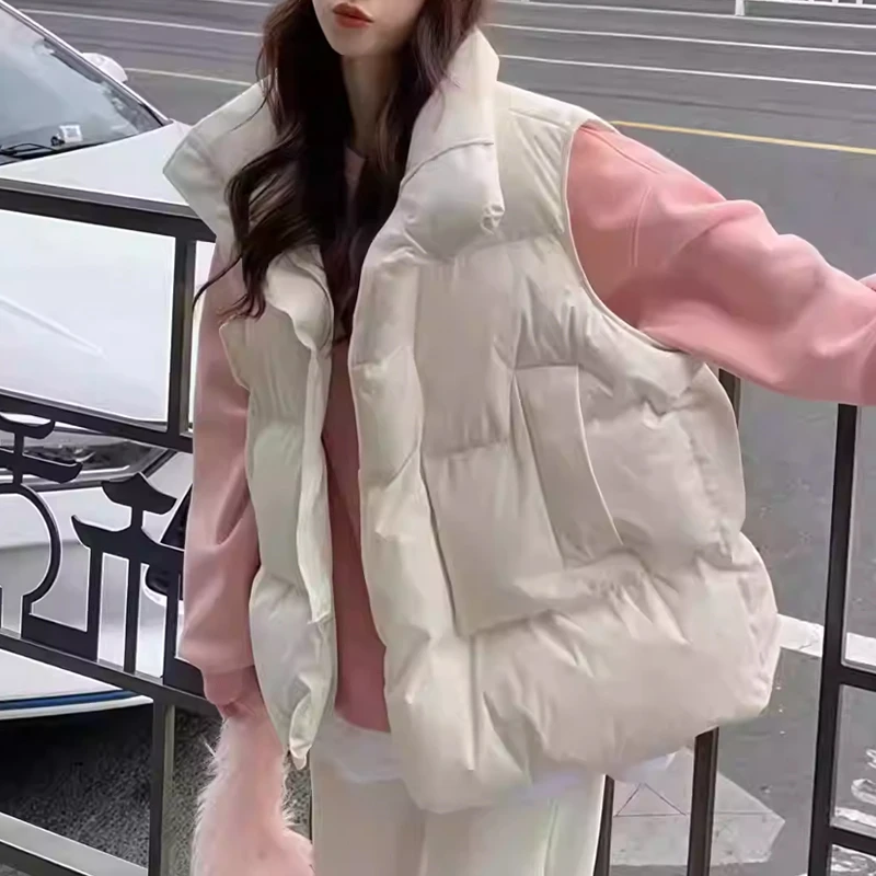 2025冬新款立领加厚马甲休闲简约气质保暖短款时髦坎肩外套女士