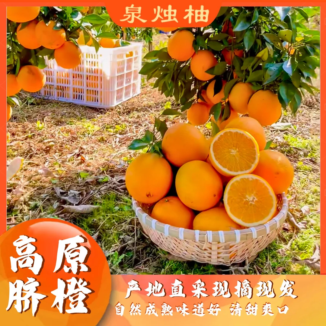 云南钮荷尔脐橙6斤,(净重)酸甜脐橙,现采现摘发货高山脐橙不打药