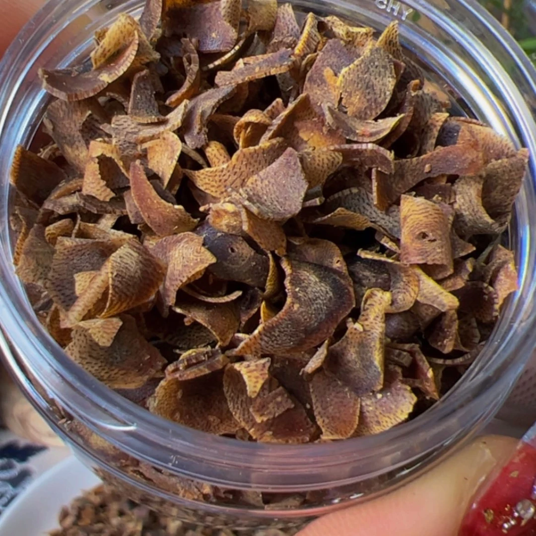 【闪购商品】沉香手把件奇楠白棋高端老料切片10克