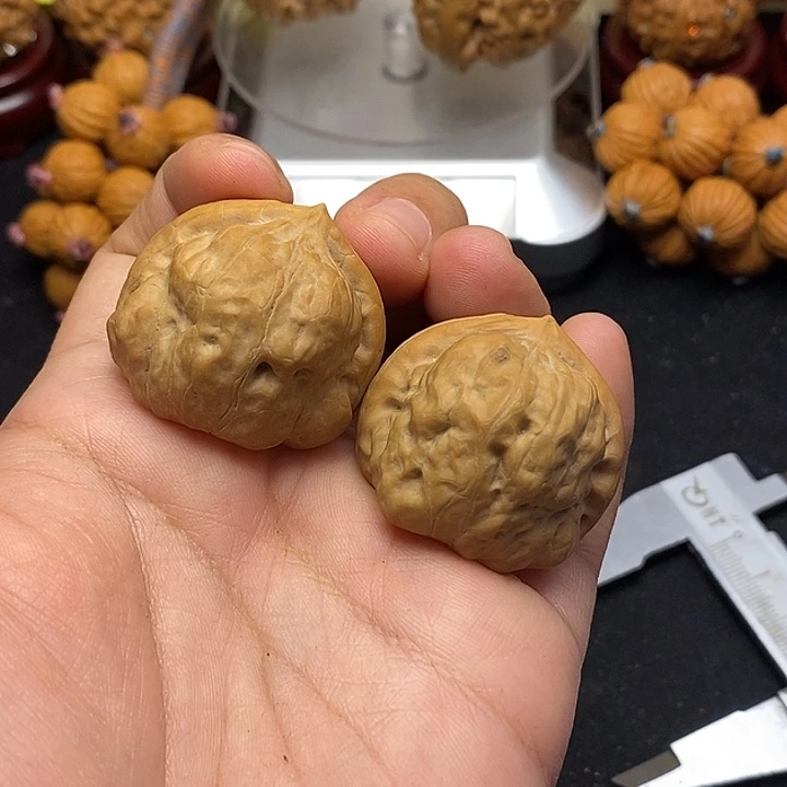 龙脊菩提吊坠古蝉