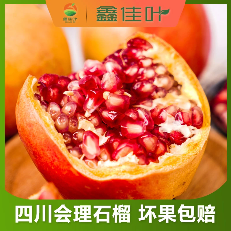 【鑫佳叶】四川会理软籽石榴 皮薄汁多 现摘现发坏果包赔3/4.5斤