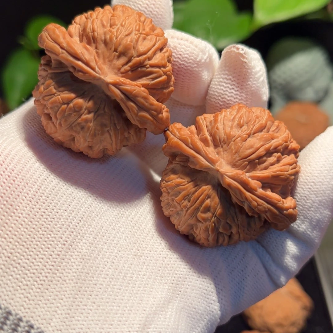 【闪购商品】文玩核桃把件42球白