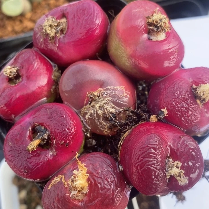 553一组一组一组