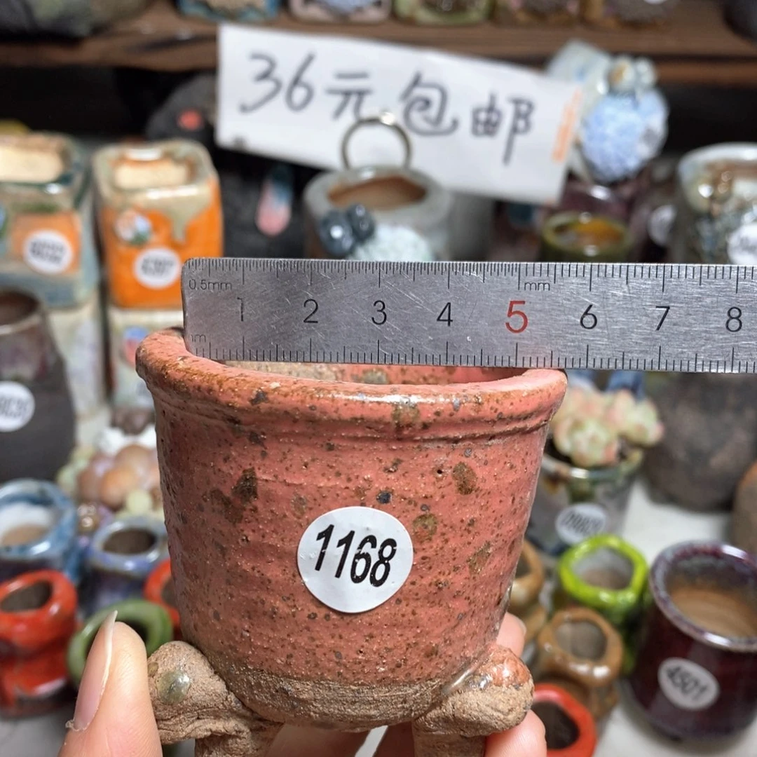 花盆拍3送个9·9的盆，拍5送同款