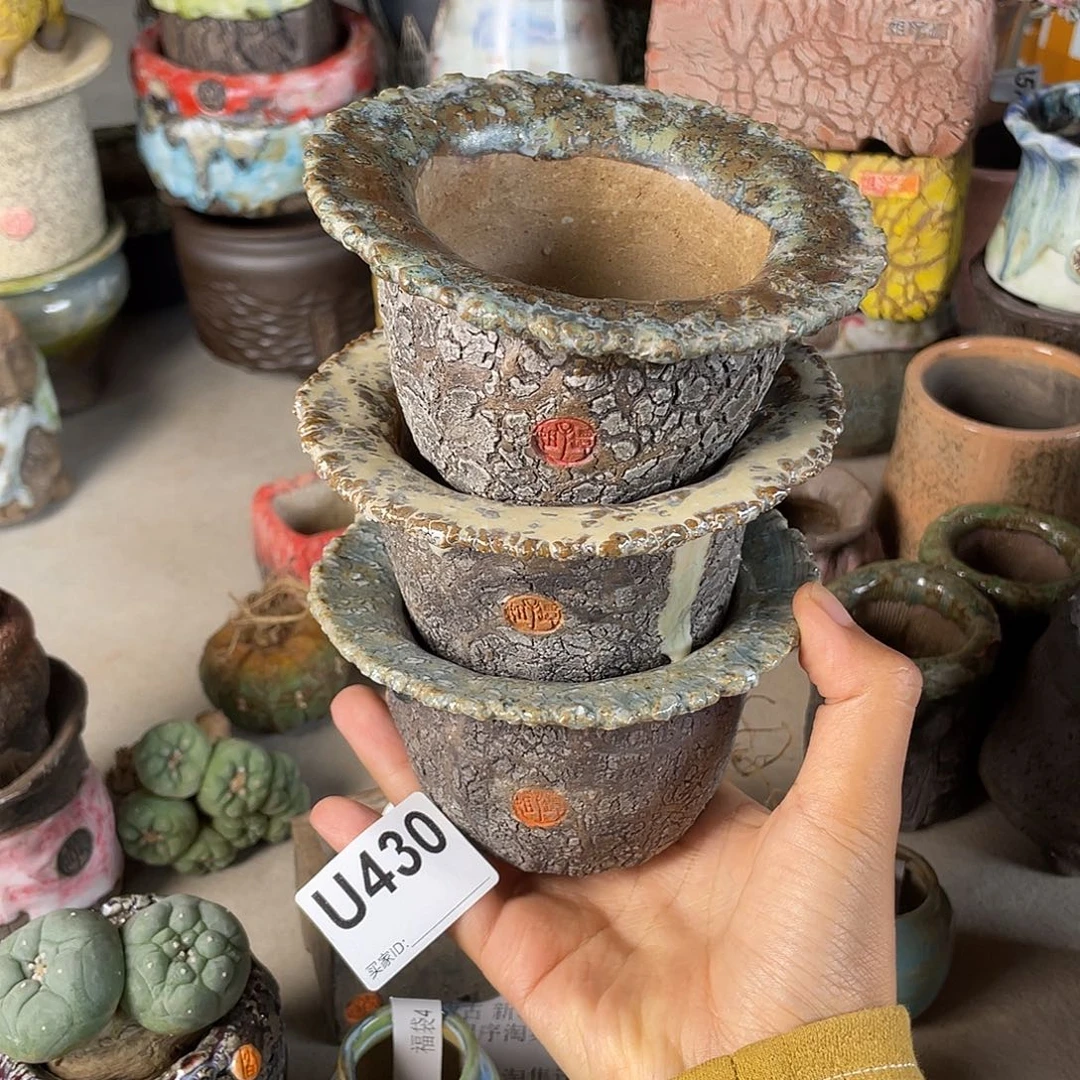 双十一限时福利 默认微次 随机一个