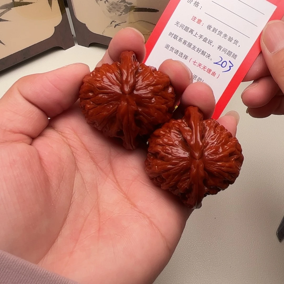 203。  41尺。 白狮子