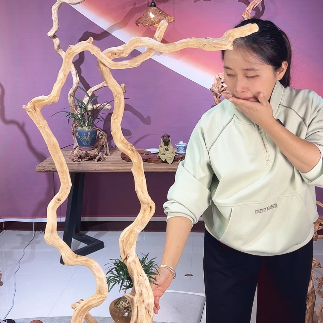 白***硕木天然杜鹃根根艺摆件