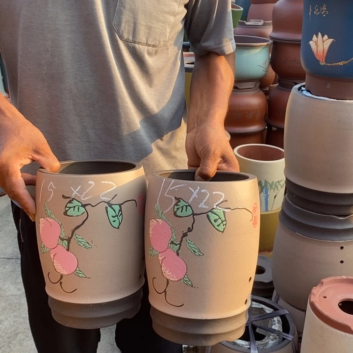 紫砂花盆盆栽花卉苗木种植