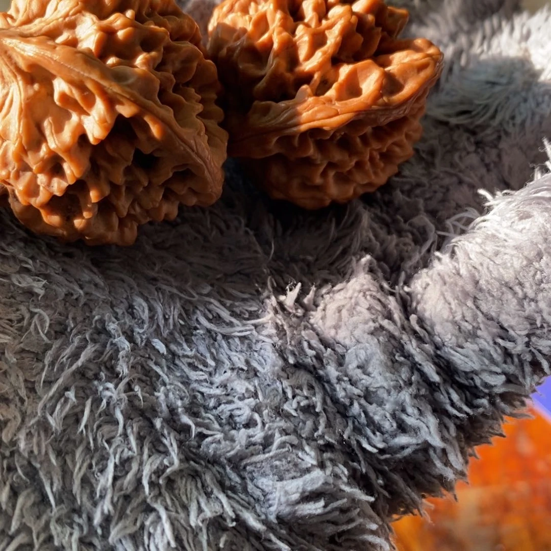 湘****翼秦岭南北缘是以