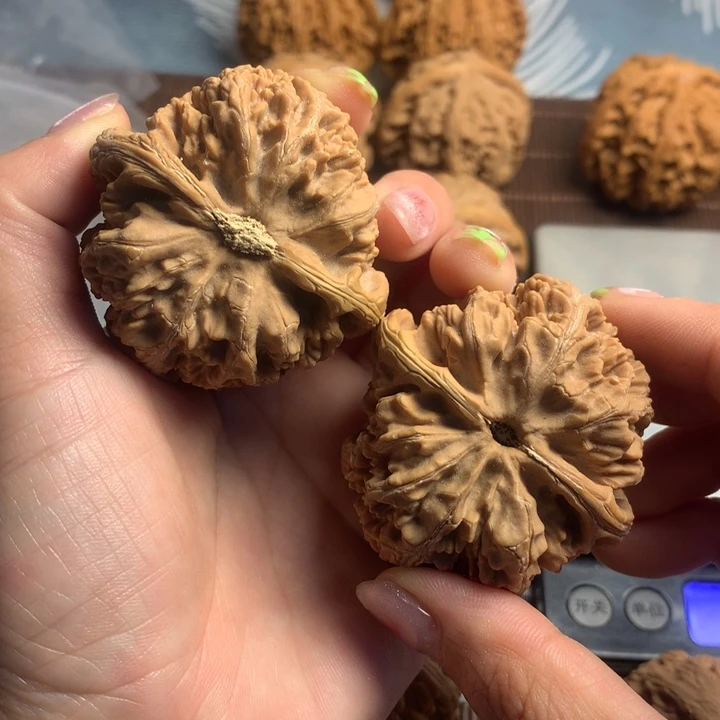 吊坠文玩核桃春*粗筋
