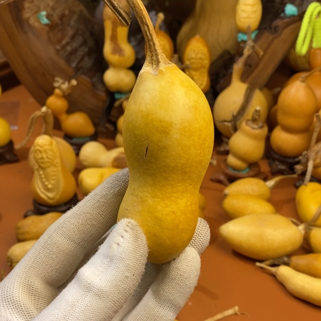 飞****教练咯哭葫芦教练咯