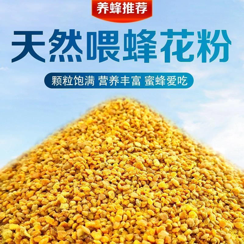 蜜蜂花粉养蜂喂蜂中蜂专用油菜花粉蜜蜂油菜杂粉颗粒养蜂蜂粮