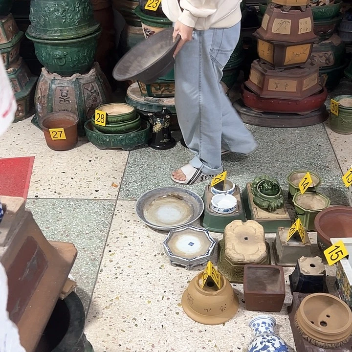 红陶永****)。。。。。。。。。。。。