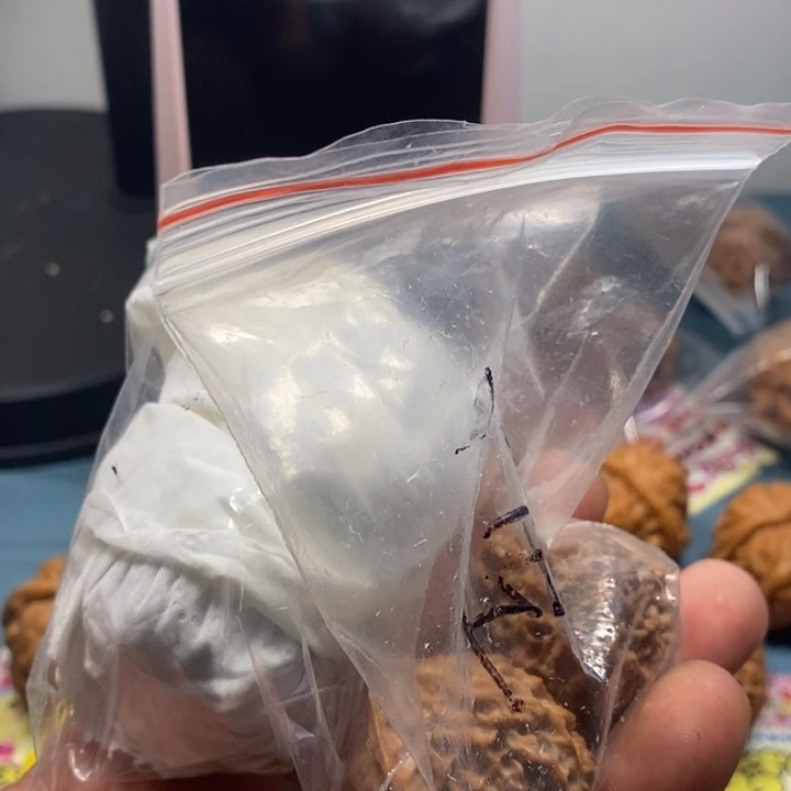 文玩核桃吊坠h**。珊瑚她➕铁锤