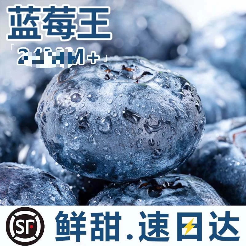 L11号 霸王莓 22＋ 100g每盒新鲜蓝莓水果