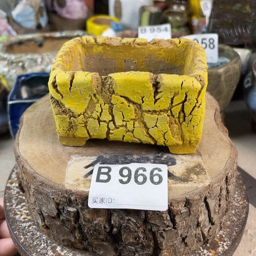 陶瓷花盆 开播福利默认微次