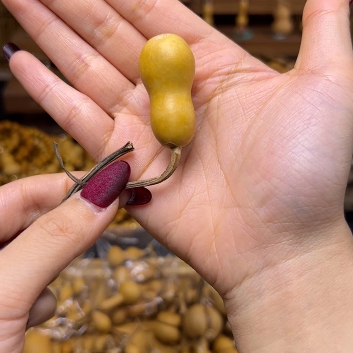 三***丝健健康康快快乐乐