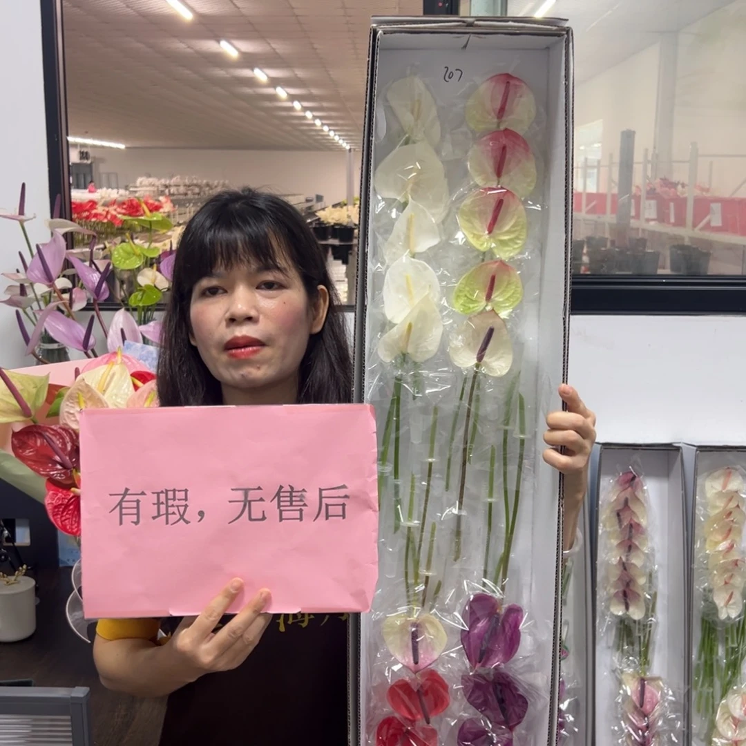 完全开放混色-20枝装无售后款207