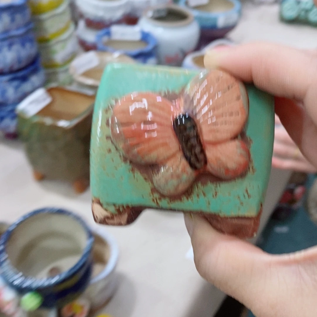 红陶福利瑕疵551