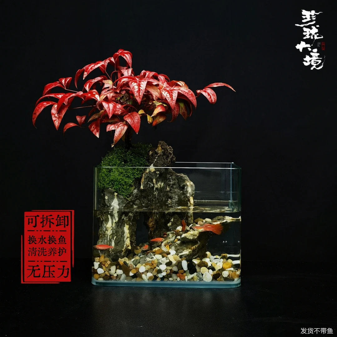 [鸿涯]火焰南天竹创意绿植微景观中式国风禅意摆件鱼缸18*12*14cm