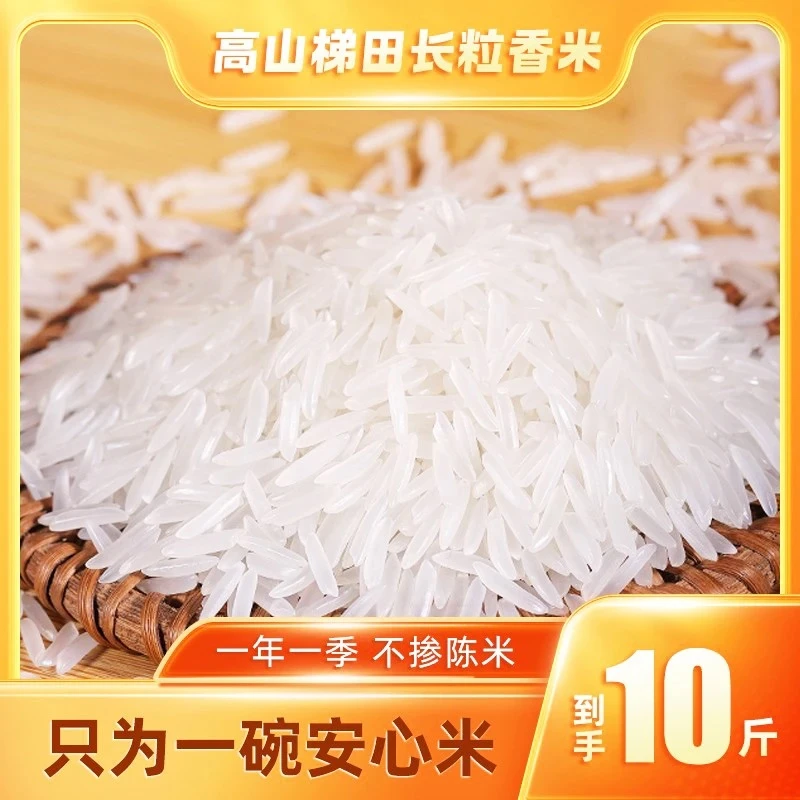 优质长粒香米大米5kg家庭装10斤一袋饭店农家软糯煲仔饭米饭Y