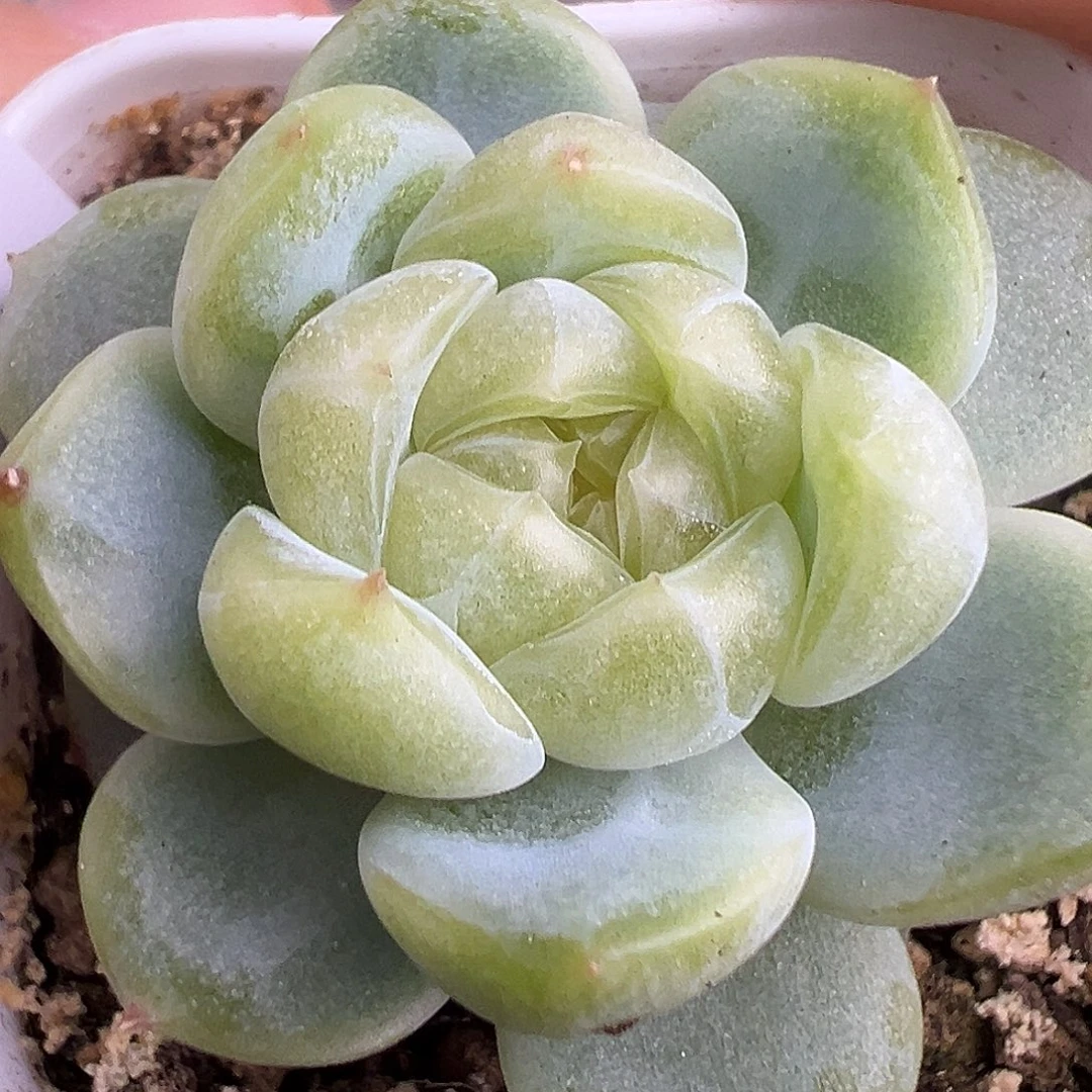 财富密码。    大A