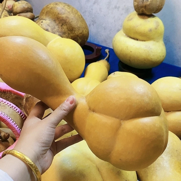 呵*忒好好先生高中数学作业