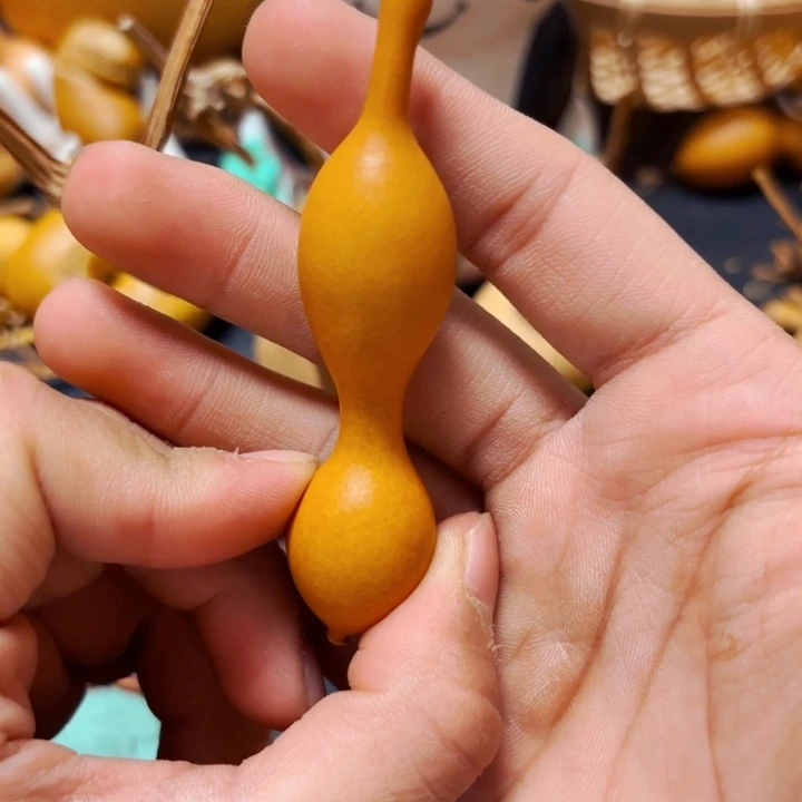 啊*…88888888888888888888