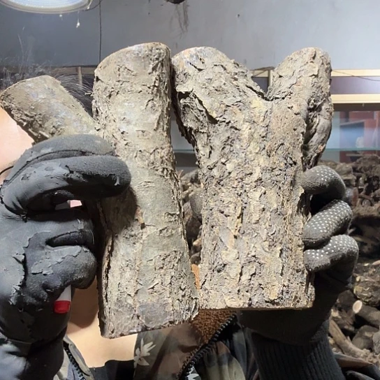 香榧木宁**远火琉璃的毛料摆件