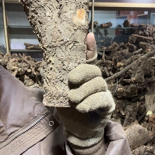 香榧木吴****7火琉璃的故事毛料