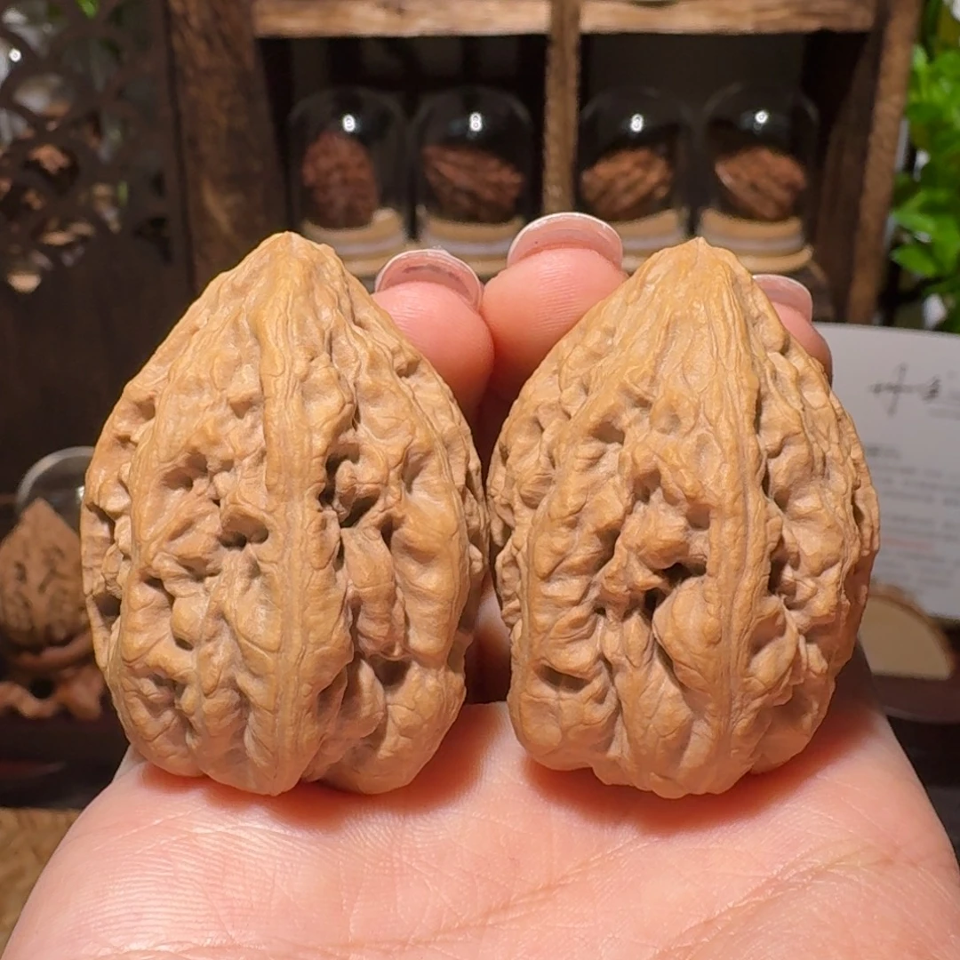 文玩核桃把件闷尖蚂蚁