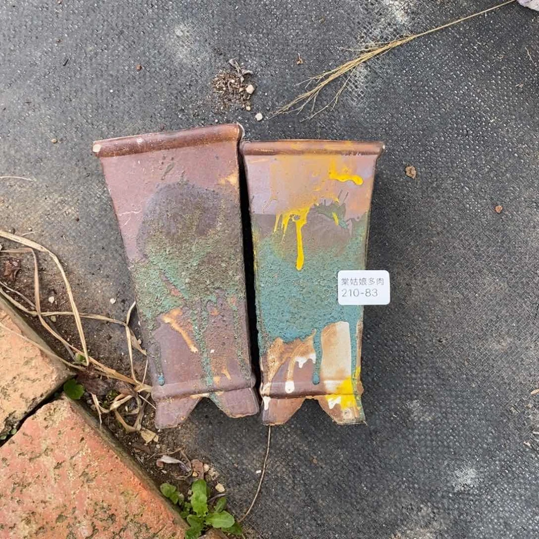 活**布83号两个多肉盆组合