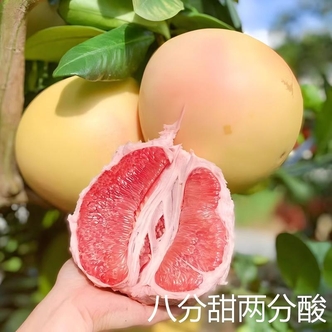 【自然搭档】福建三红蜜柚4.5/8.5斤 多仓发货