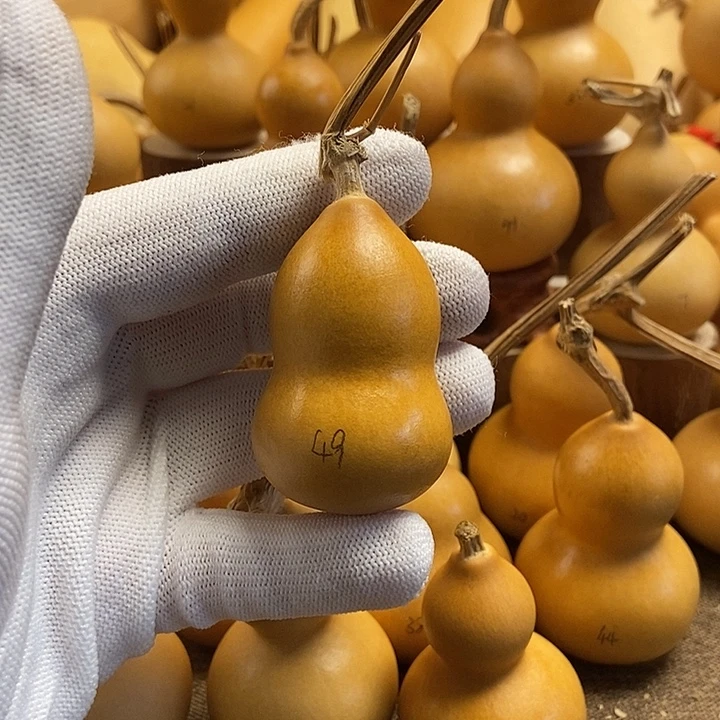 文玩葫芦 完美主义者 慎拍49