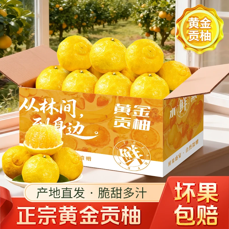湖南怀化黔阳黄金贡柚纯甜象山青现摘手剥橙清甜多汁产地发货新鲜
