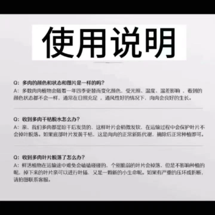 精品多肉 综合链接 好看好养